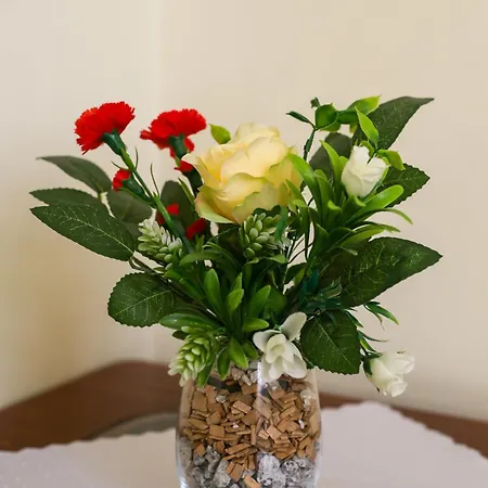 Dom Rekolekcyjny Vincentinum לינה וארוחת בוקר 3*